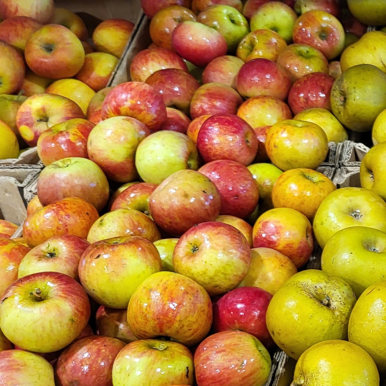 Les pommes des Vergers de l'Ousse Les pommes des Vergers de l'Ousse