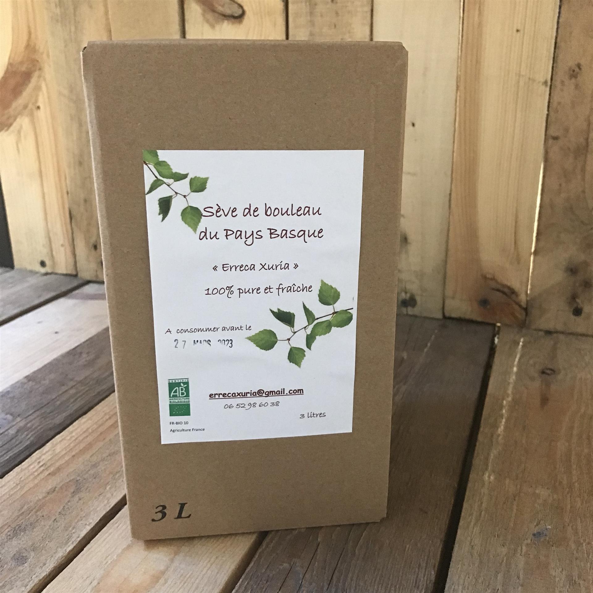 La sève de bouleau est arrivée