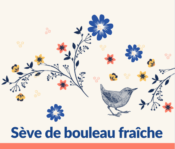 La sève de bouleau est arrivée