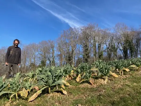 En visite chez Nicolas Chatelet, maraîcher à Eysus