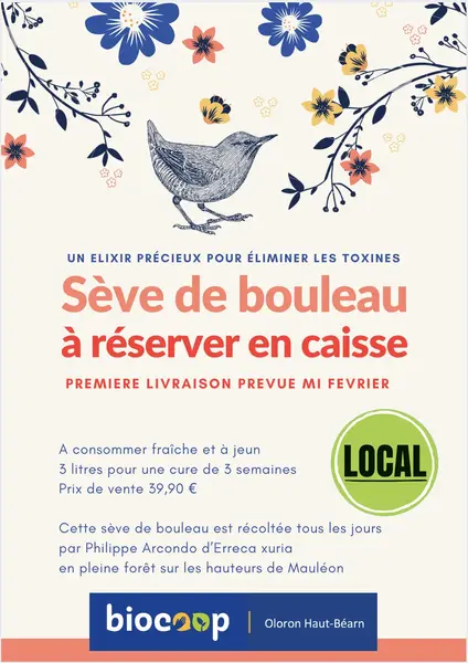 Sève de bouleau fraîche à réserver