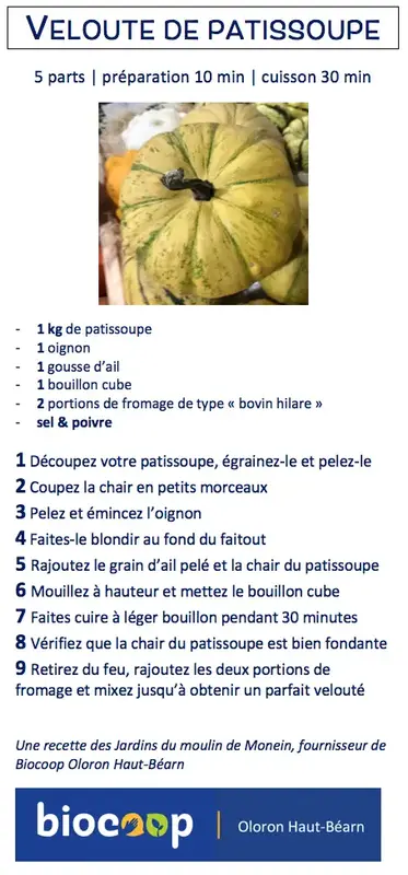 Velouté de patissoupe